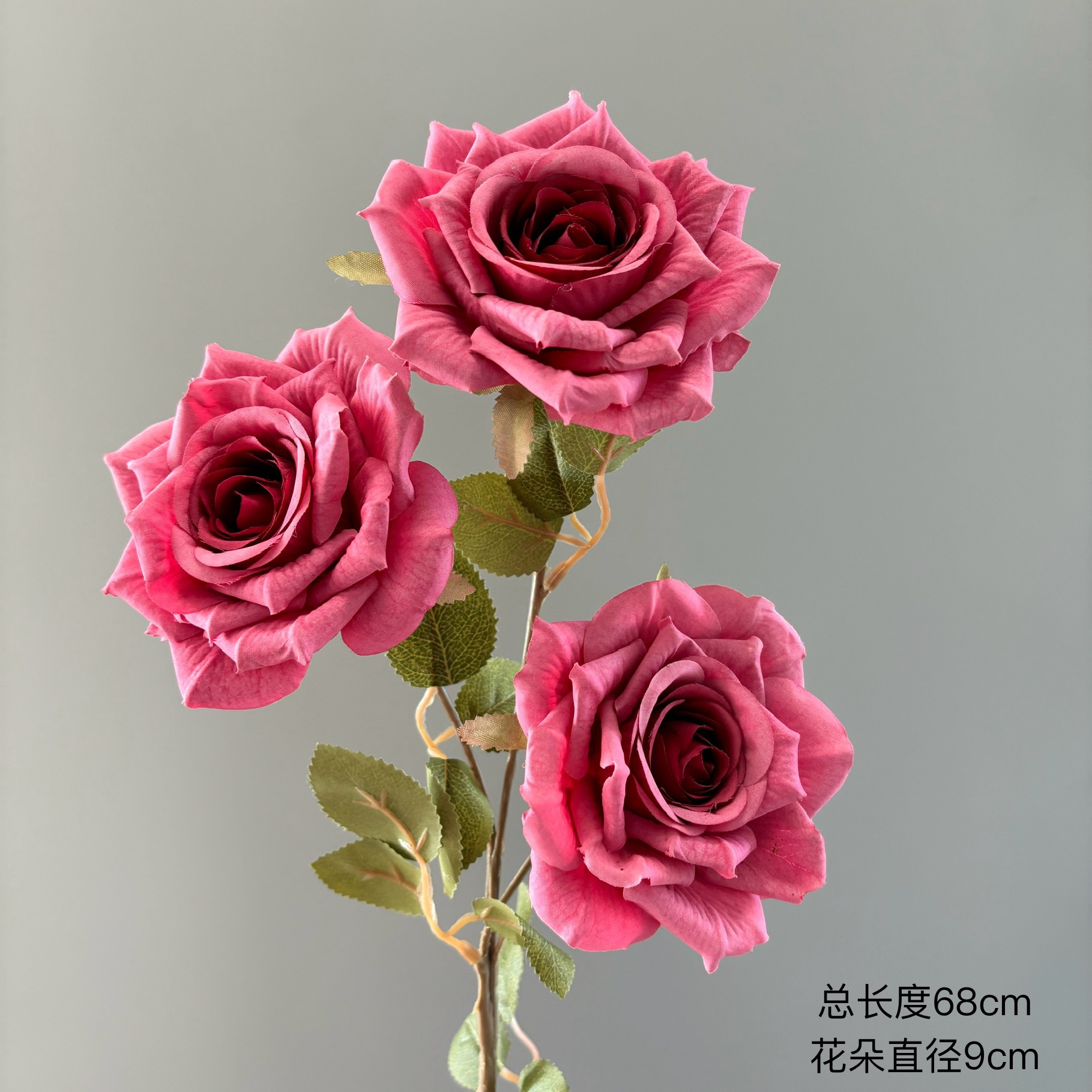 카푸치노 장미 3송이