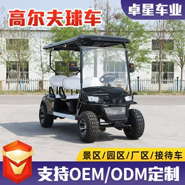 电动观光车;高尔夫球车