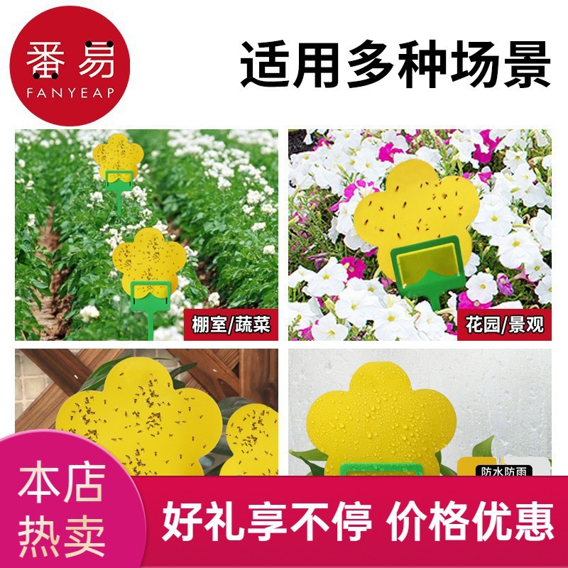 包邮/10Y粘虫板B1P42-农用家用粘虫板黄板双面飞果蝇诱