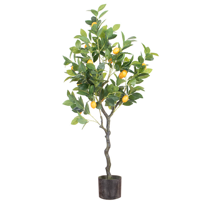 Árbol de limón de 120cm