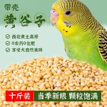 �Bʳ��С���W�^�B�Z�����B������B��Ƥĵ�����P���S���ӎ���С��