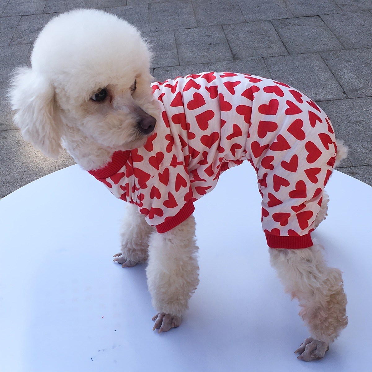 Lässig Süß Polyester Valentinstag Herzform Kleidung Für Haustiere display picture 2