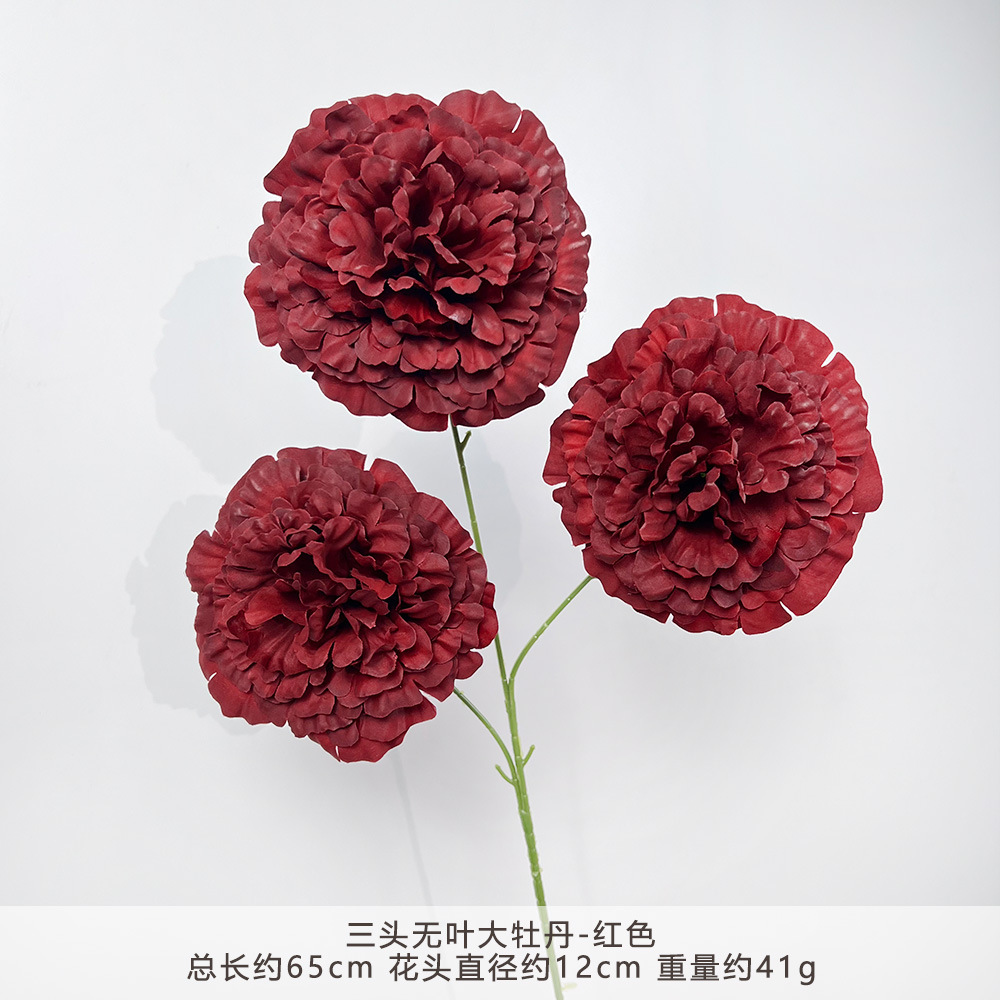 Zyj - three-headed leafless peony - red