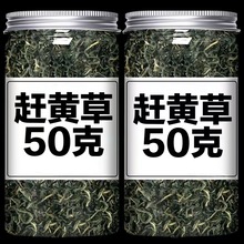 赶黄草正宗四川原产古蔺赶黄草罐装无硫无薰熬夜常备批发一件代发