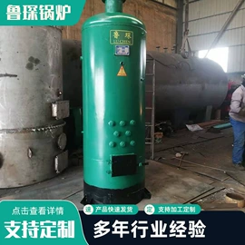 蒸汽发生器;燃煤锅炉;不脱硫除尘