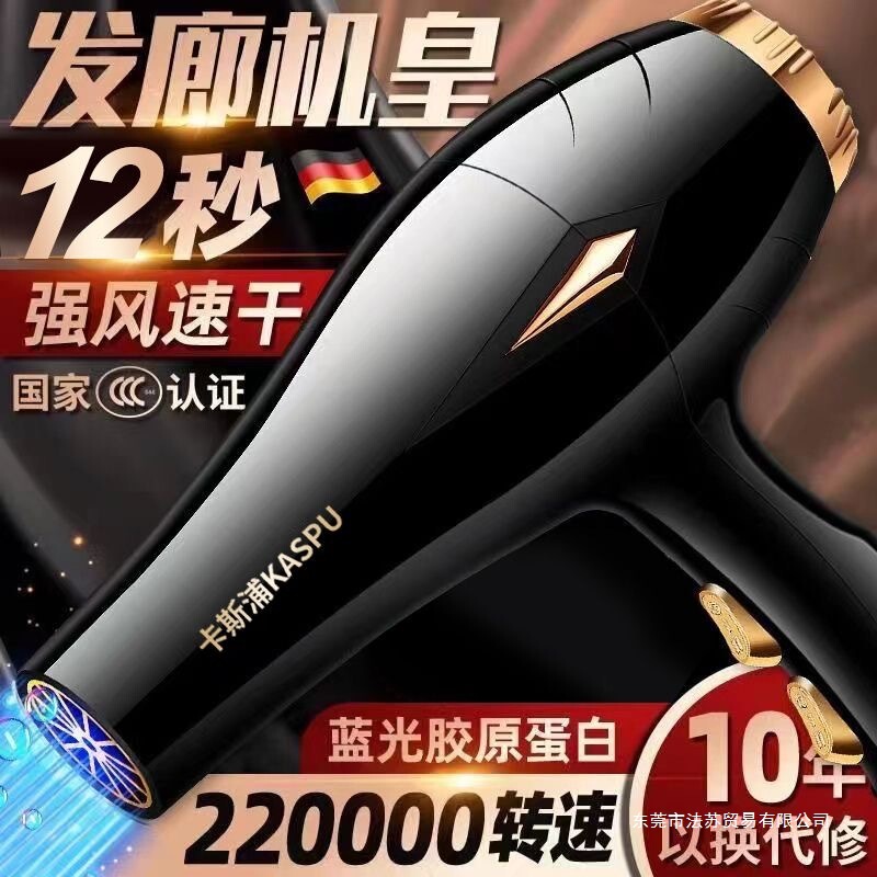 Hair Dryer Household High Wind Hair Salon High Power Blue Light Quick Drying Negative Ion Student Dormitory Hot and Cold Wind Silent