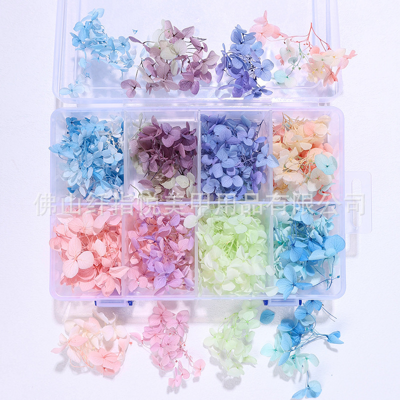 Manicure Dried Flowers Hydrangea Flowers Dried Flowers Embossed Boxed Anna Hydrangea DIY Handmade Nail Jewelry Decoration