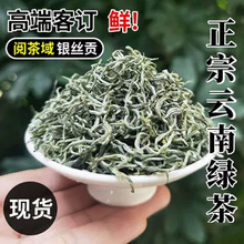 2024年特级细银丝贡茶头采新茶云南绿茶甘露春尖毛尖鲜香型单芽茶