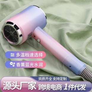 Hair dryer home student dormitory hair dryer portable net red fashion hair dryer blue light high power manufacturers wholesale