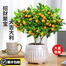 �ļ���ۘ������Կ͏d��ֲؔ���҃Ȼ��ܾGֲС�����辰���B������