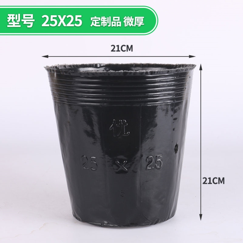 25*25 (diameter 21 and height 21) 100 pieces