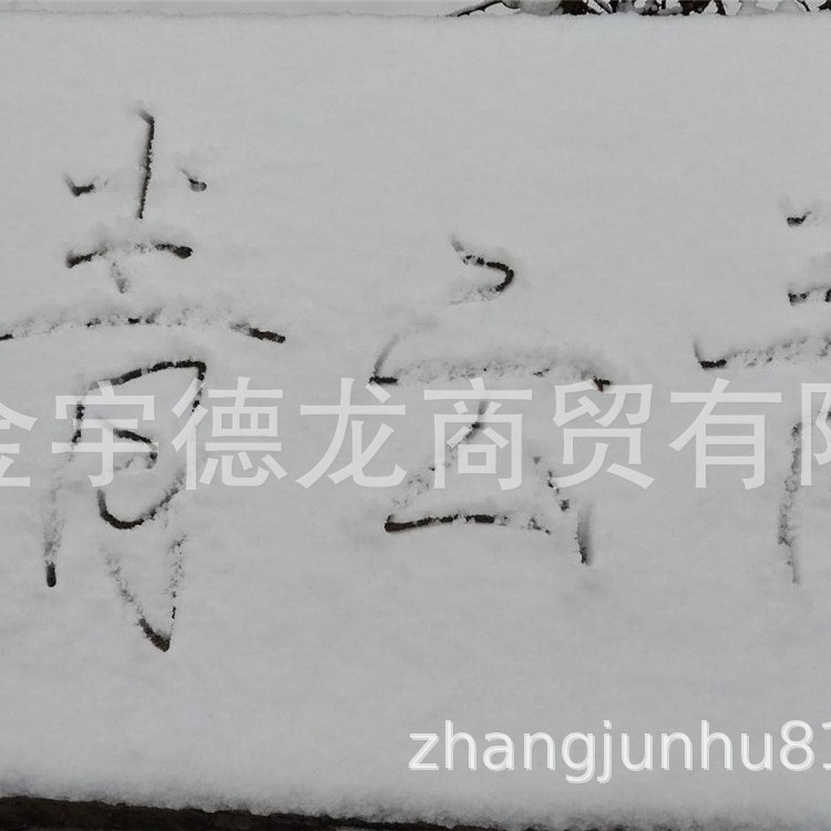 造雪机 清雪机 抛雪机 铲雪机 滑雪板 滑雪车 雪橇爬犁 雪地转转