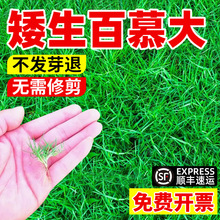 ĽѰ޼ƺNӄeͥԺGͲ̤ͺļ