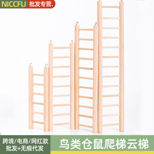 NC�}����������쾰��ߘ����B��ǧ��ݿ�ҧ����ľ��؈����С����