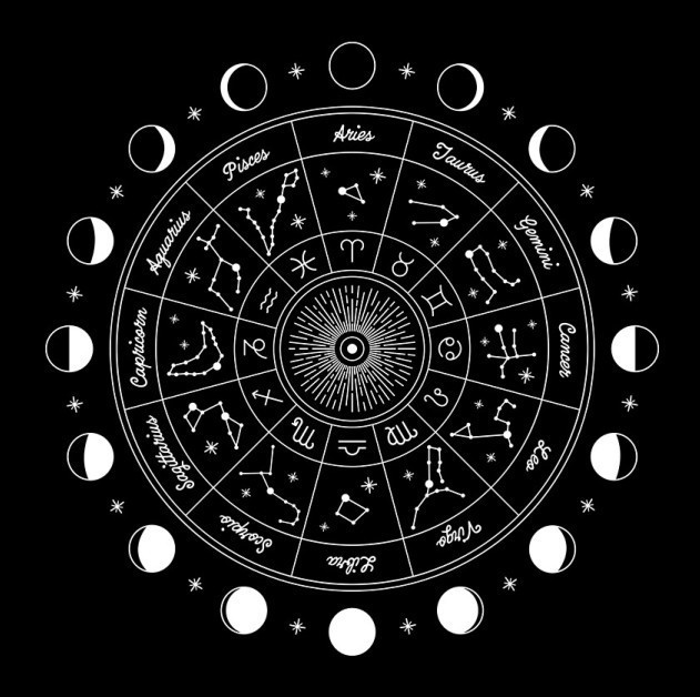 16개월 dzf-14