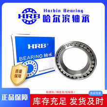 �C���S��NN3006K/W33  NN3007K/W33  NN3008K/W33 NN3010 P5��