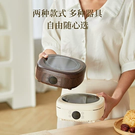 养生壶;电热炉;电炖锅