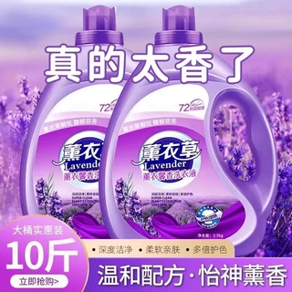 薰衣草香5斤洗衣液持久留香7小时香水强力去污渍家用男女通用