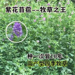 �ϻ���ޣ�N���iţ�����u���Z�������ļ��Bֳ����ޣ���~�N������