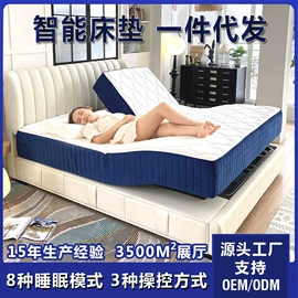 智能床垫;床垫、席梦思;情趣家具