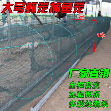 8-50���нY�Ӵ����ò��~�ؾW�\�~�\���r�з���r�W�\���~�\��̖