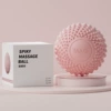 Sakura Plum Magnetic Therapy A [Box]