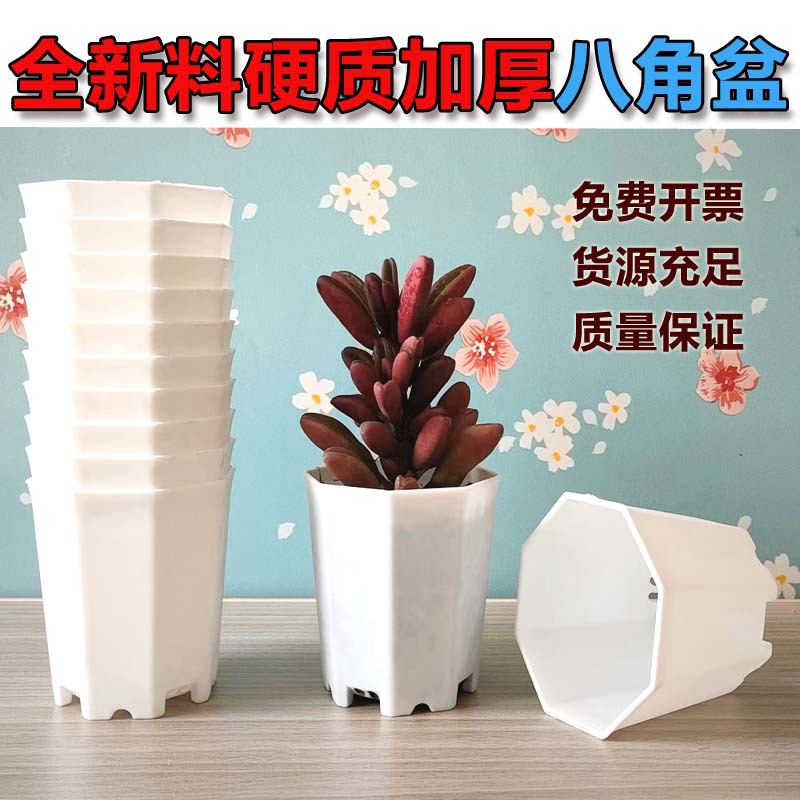 Venta caliente octogonal duro helado pequeña cuenca blanca Nuevo blanco octagonal suculenta cuenca base de comercio exterior al por mayor