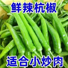 �����FժС�׽��⽷�������ཷ�������ݽzС�ཷ���콷����