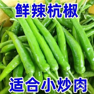 �����FժС�׽��⽷�������ཷ�������ݽzС�ཷ���콷����