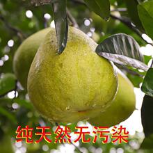 �Ĵ��V�������ּt���֬Fժ�F�l����ˮ���ЋD����С��ˮ������