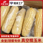 白糯玉米开袋即食学生真空包装软糯玉米免煮早餐整箱20根/箱批发