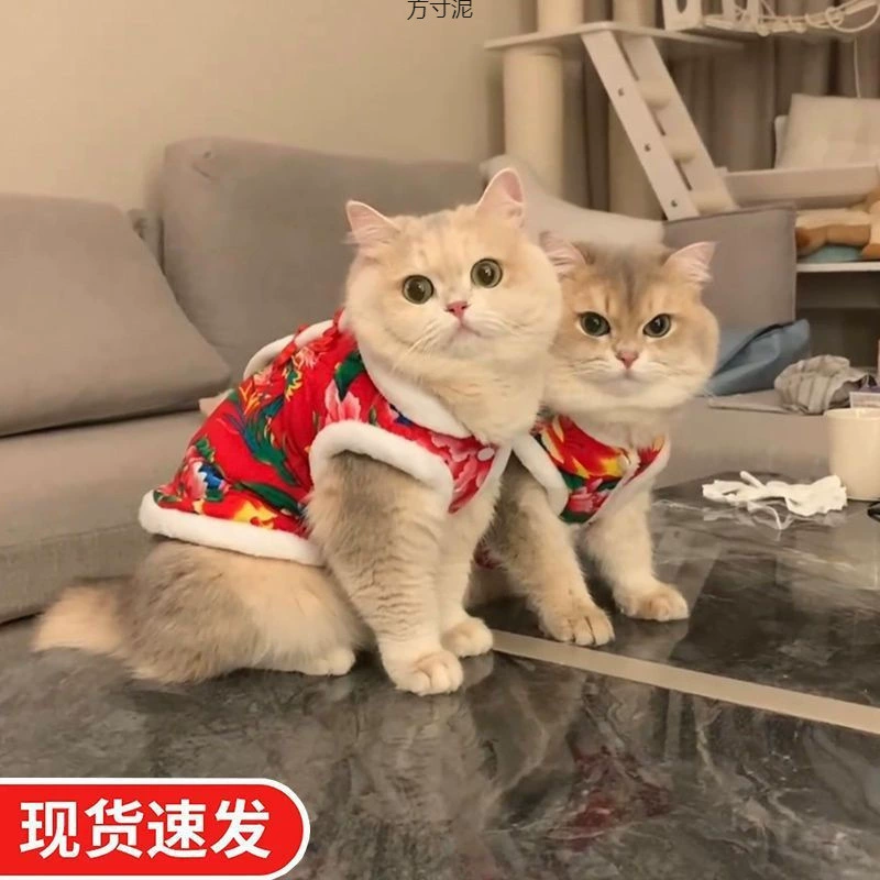 Кошка теплая одежда