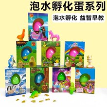 泡水动物孵化蛋地摊可水养破壳变大礼品儿童节男女孩小玩具无彩盒