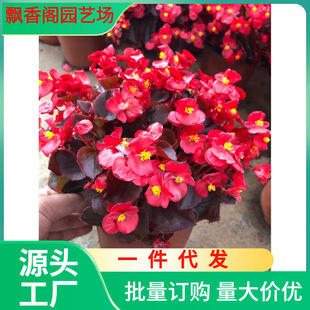 ���Ļ��ļ�С�~�t���Ļ��_���ļ����Ի��ܻ����L�����҃Ȼ���