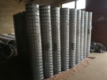 1/21/4PVC电焊网铁丝网抹墙网篱笆网护网网片钢网低碳钢丝网