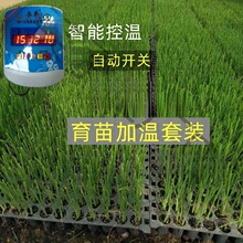 �r������ӟᾀ����ؿص؟ᾀ늼ӟᾀ�ؿ����Ӝؾ����ҿ���̫��