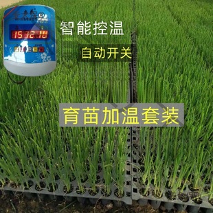 �r������ӟᾀ����ؿص؟ᾀ늼ӟᾀ�ؿ����Ӝؾ����ҿ���̫��