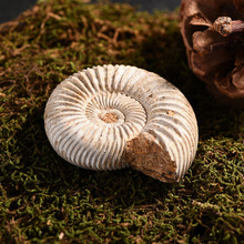 �����ﻯʯ�V��˱���Ȼ�߲��ݻ�ʯ�ݾ�ʯ�Lˮ�������~�xԭʯ�Y��