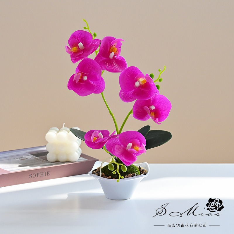 Nueva Phalaenopsis Bonsai de tres horquillas flor artificial decoración creativa Planta artificial suministro directo de fábrica de una sola pieza entrega image 11