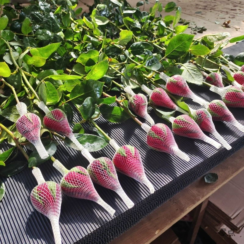 Юньнаньские красные розы, цветы, королла с сетчатым покрытием, свадебная роза, оптовая продажа, День женщин, бесплатная доставка, одна деталь, бесплатная доставка