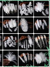 ���u��ɫ��ëDIY�Ʒ������b������Ʒ��߼Ҿ��b��o�����ɫ�o