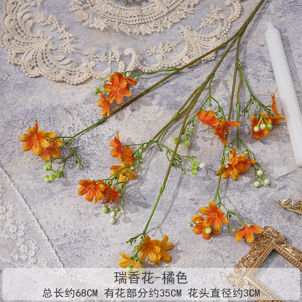 DD-데이지-오렌지