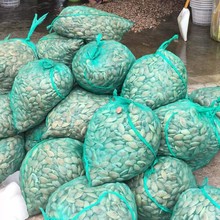 ��������b����W����ĵϠ�����ӾW�۴������b�W�����ϾW���W��