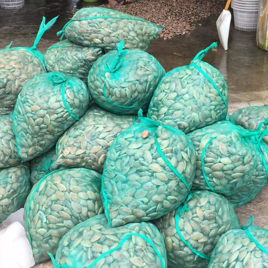 花蛤袋子装花蛤网袋蛤牡蛎海瓜子网眼袋螃苗包装网袋塑料网袋网兜