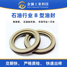 PTFE四氟B型油封 电器水下推进器密封件耐高温耐海水助力器密封圈