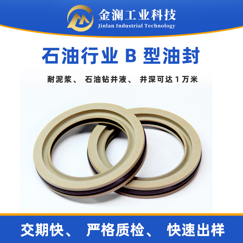 PTFE四氟B型油封 电器水下推进器密封件耐高温耐海水助力器密封圈