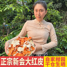 �����Ƥ���ڸɂ}Ȧ֦�̴�tƤ2024�����������r�Ƥ���Ƥ��