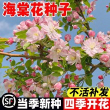 ���Ļ��N�ӷ��޺��Ļ��N�����������̨�����������ļ��׷N������