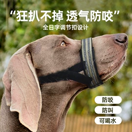 狗狗牵引;狗狗服装;宠物项圈