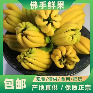 ���ָ��r��ˮ��ֲ��҃����Ԕ[�����r�㙴�Gֲ�廨�͏d��ʳ���l